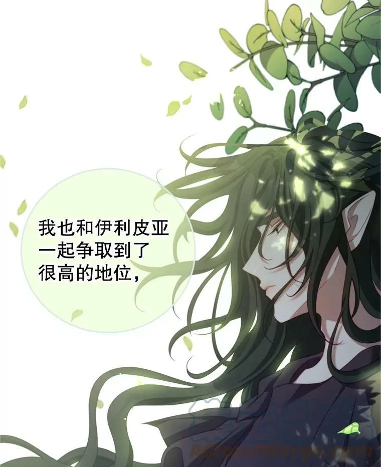 42.战争英雄 第29页