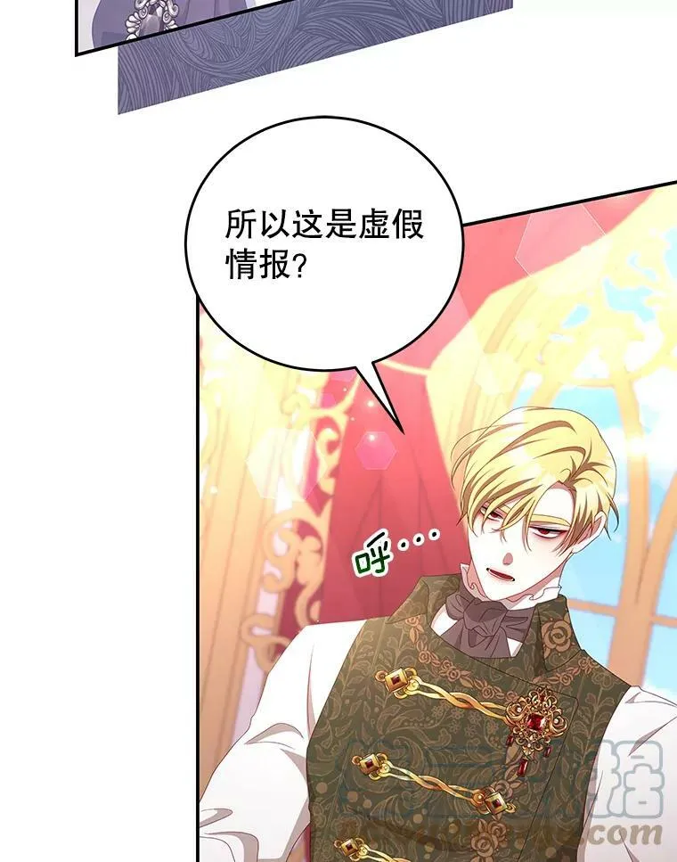 52.虚假情报 第13页