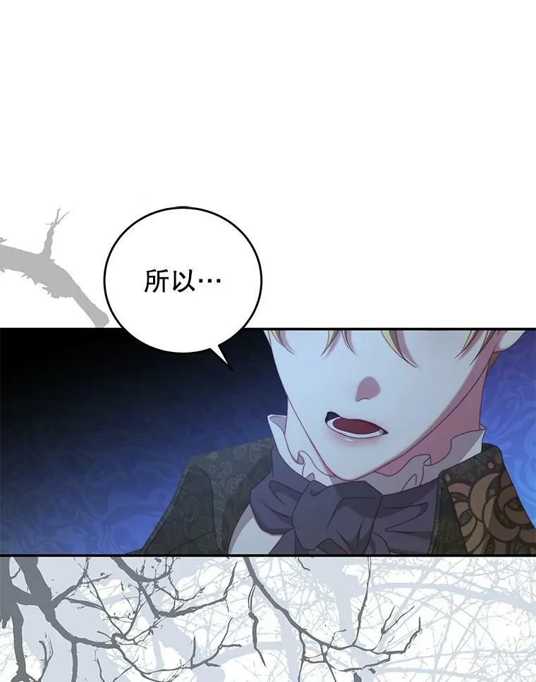 52.虚假情报 第23页