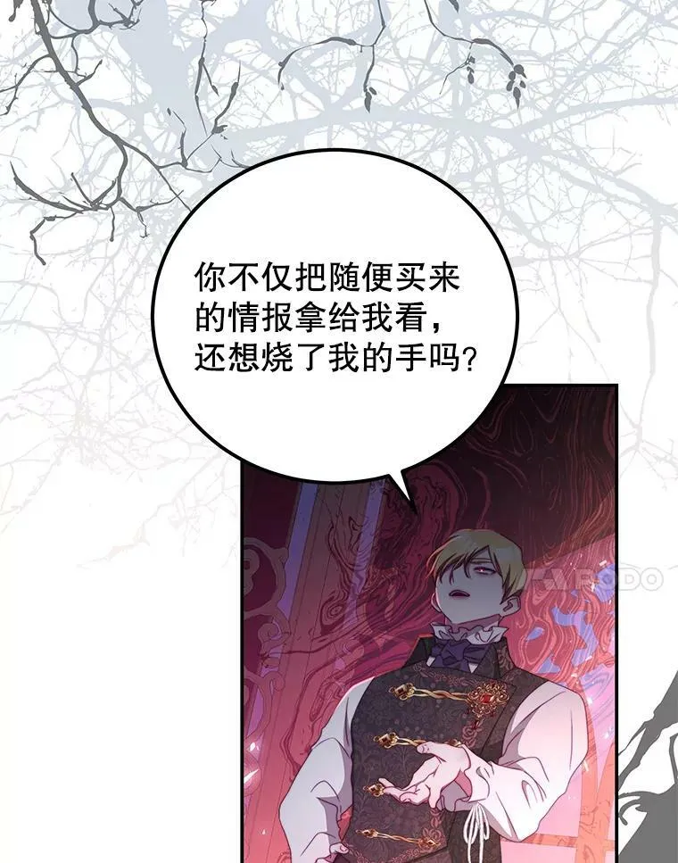 52.虚假情报 第24页