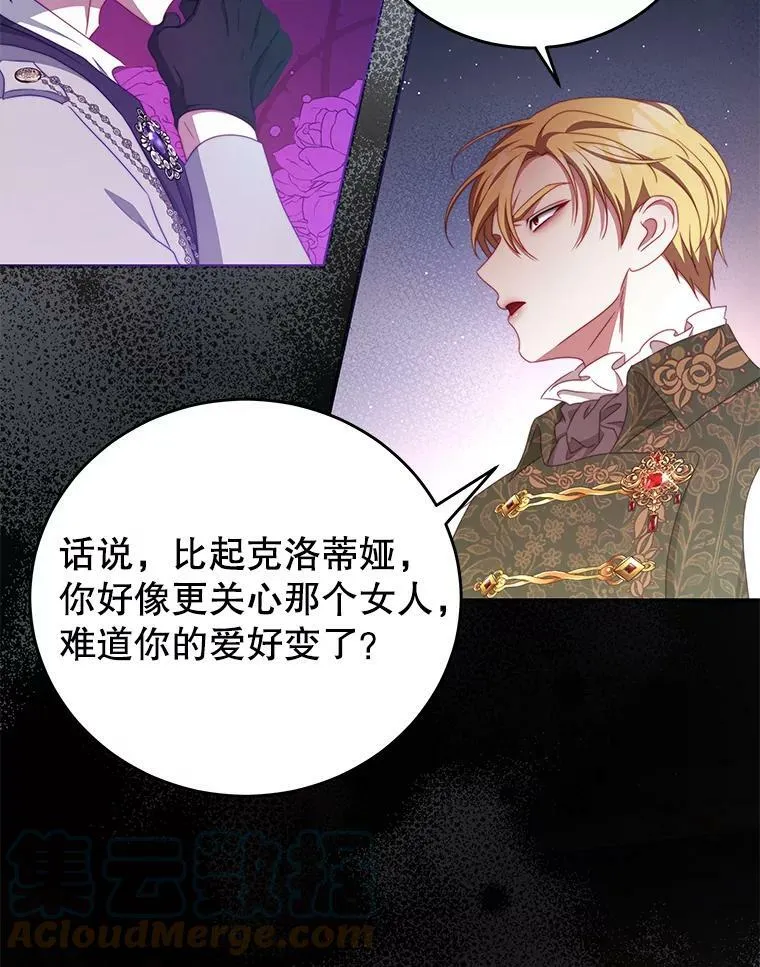 52.虚假情报 第29页