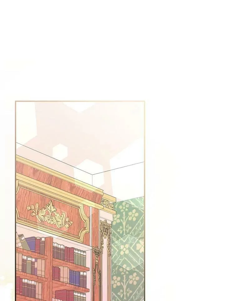 52.虚假情报 第63页