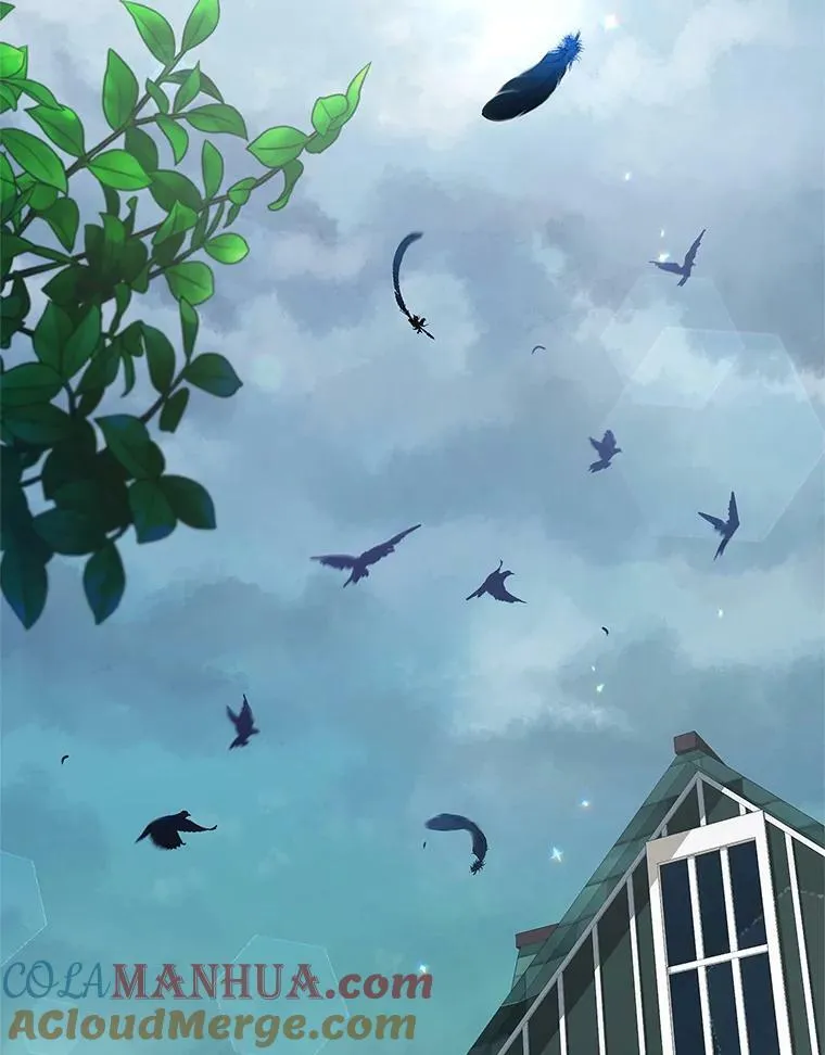 70.神圣之树 第17页