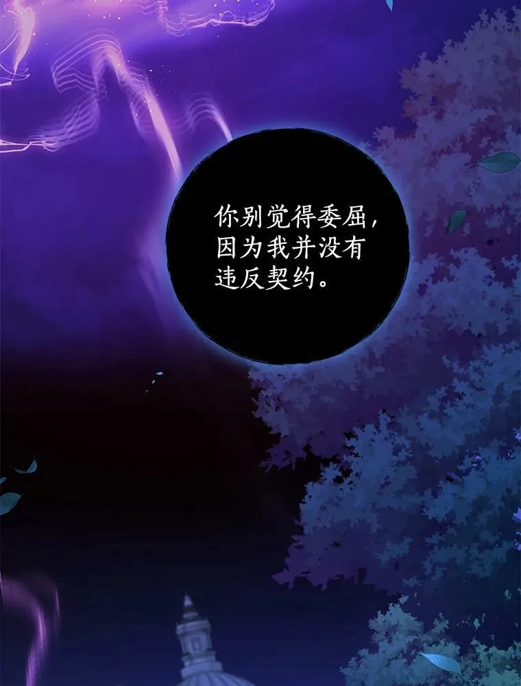 78.契约 第26页