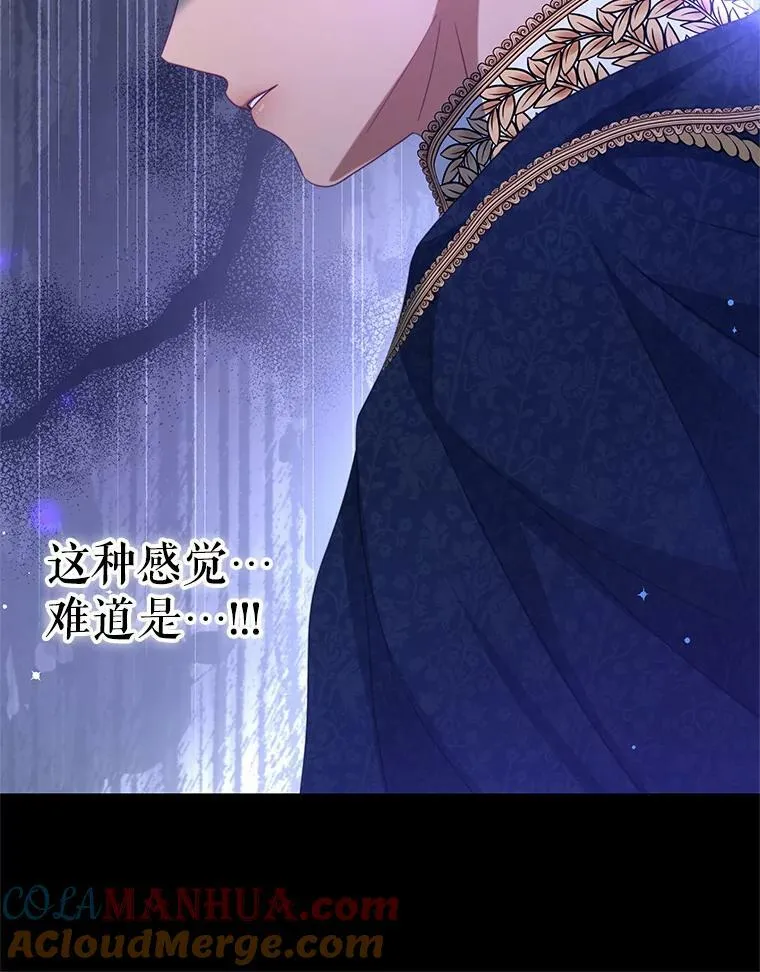 81.雷拉杰 第85页