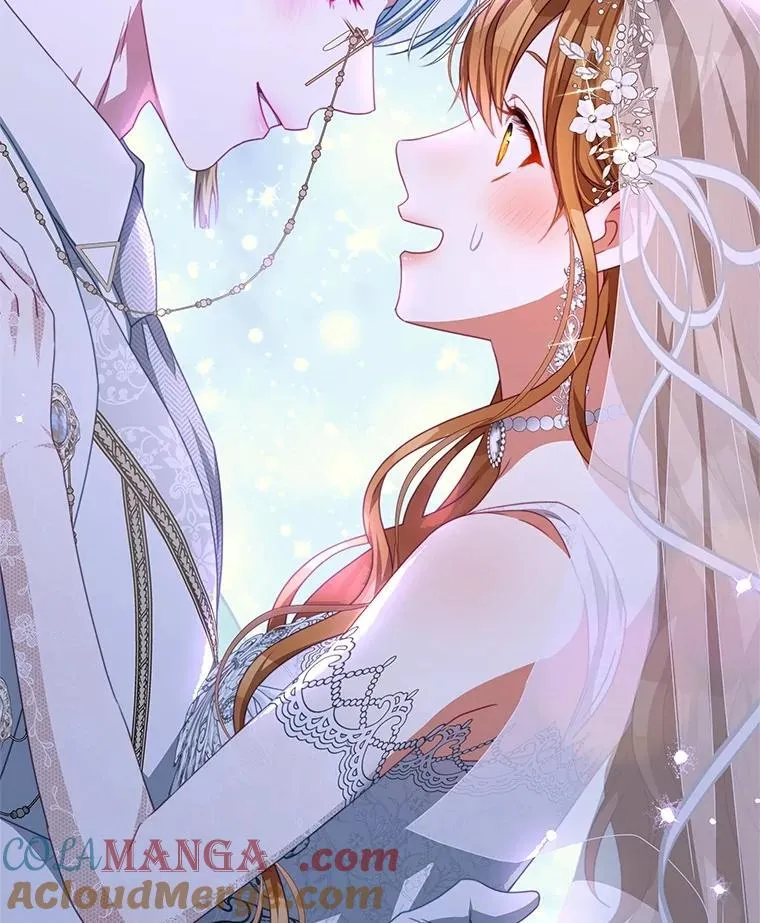 103.婚纱 第25页