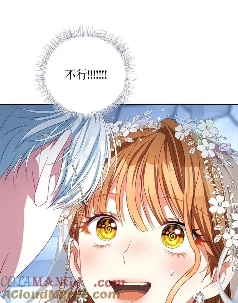 103.婚纱 第29页