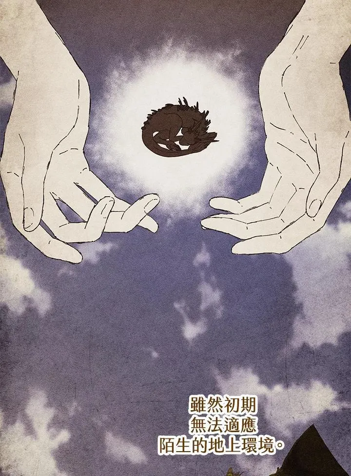 第35话 第8页