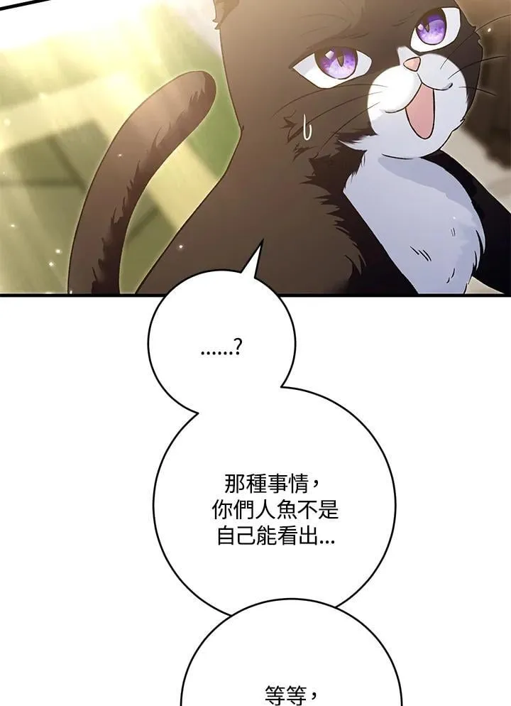 第49话 第8页