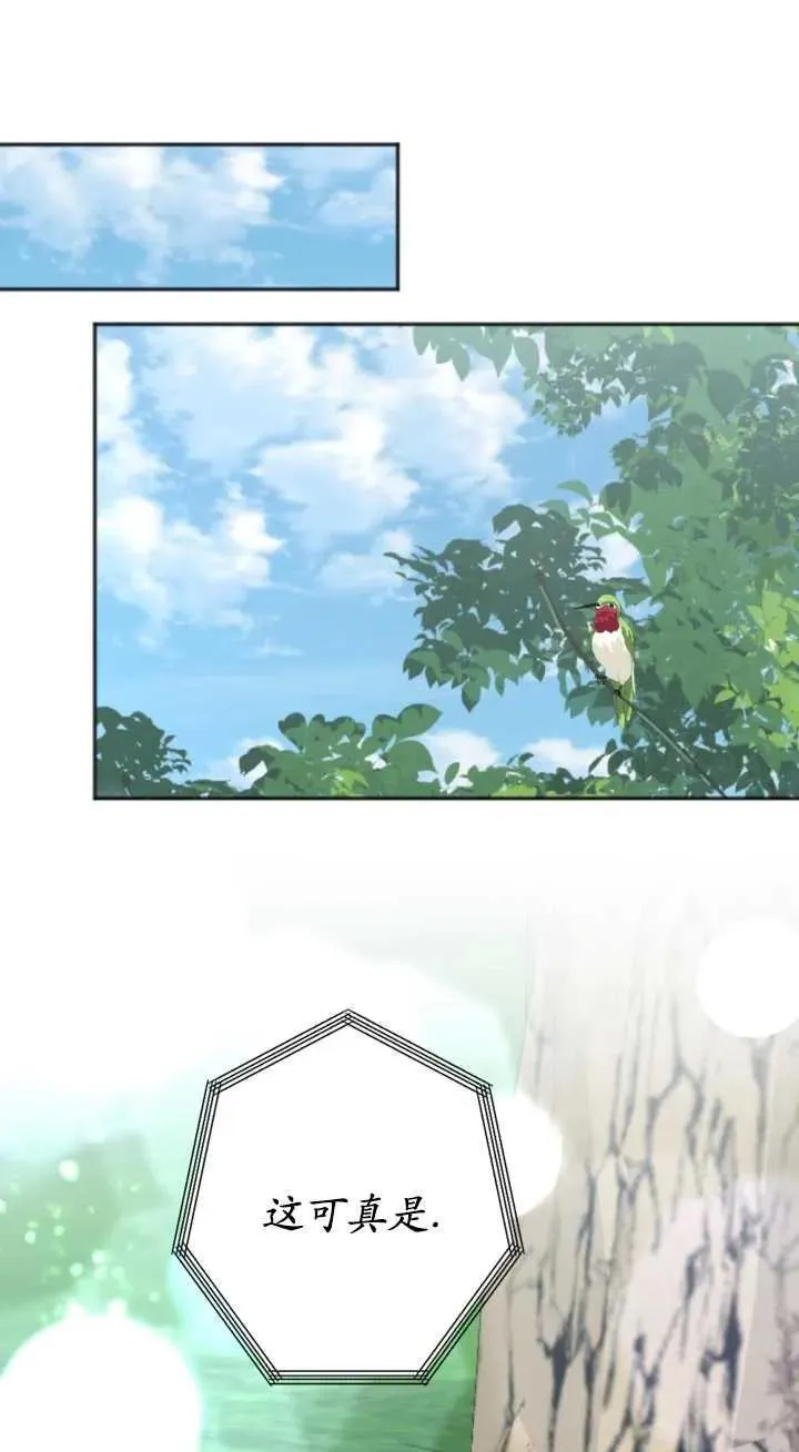 第34话 第41页