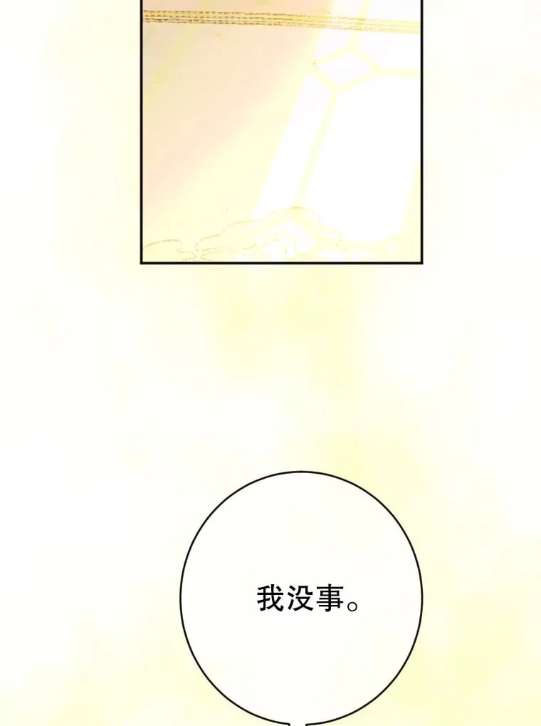 42.阿提尔的出现 第102页