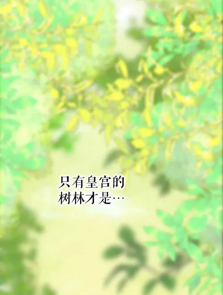 43.毕约尔德的独白 第14页