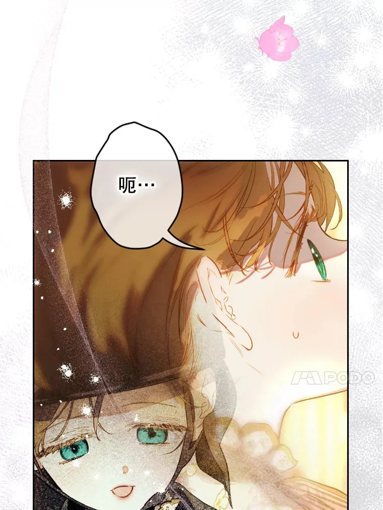 45.冲突 第17页
