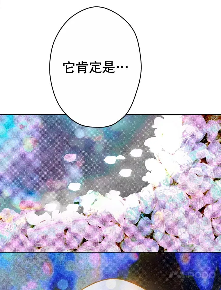 52.第一节课 第24页