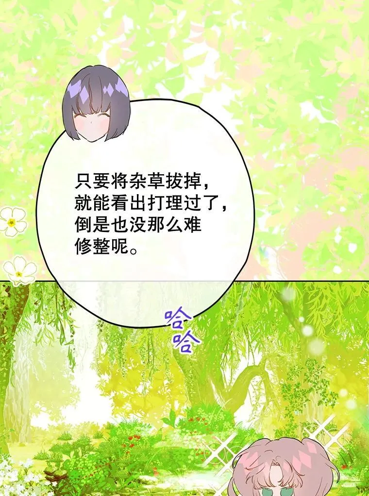 53.打理庭院 第13页