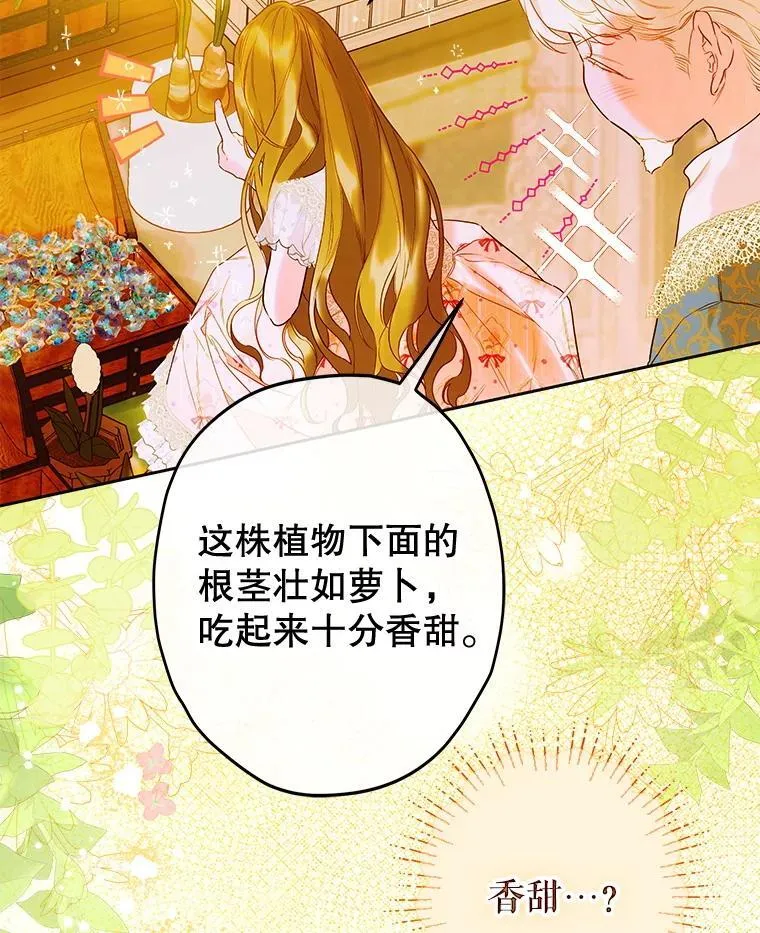 60.甜萝卜 第17页