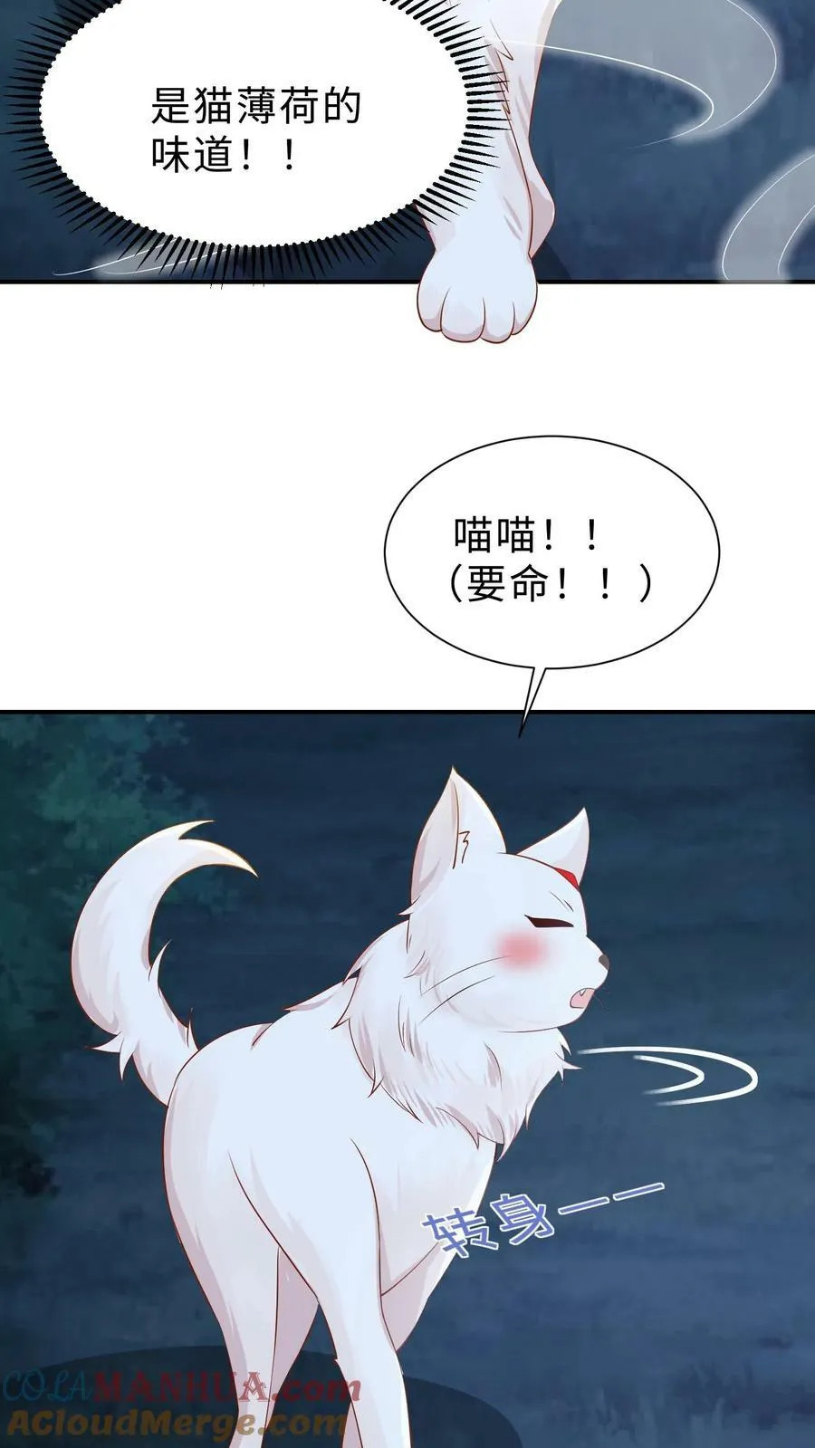 第190话 猫薄荷 第27页