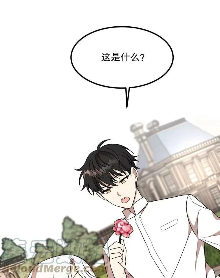 8.发光的书 第5页