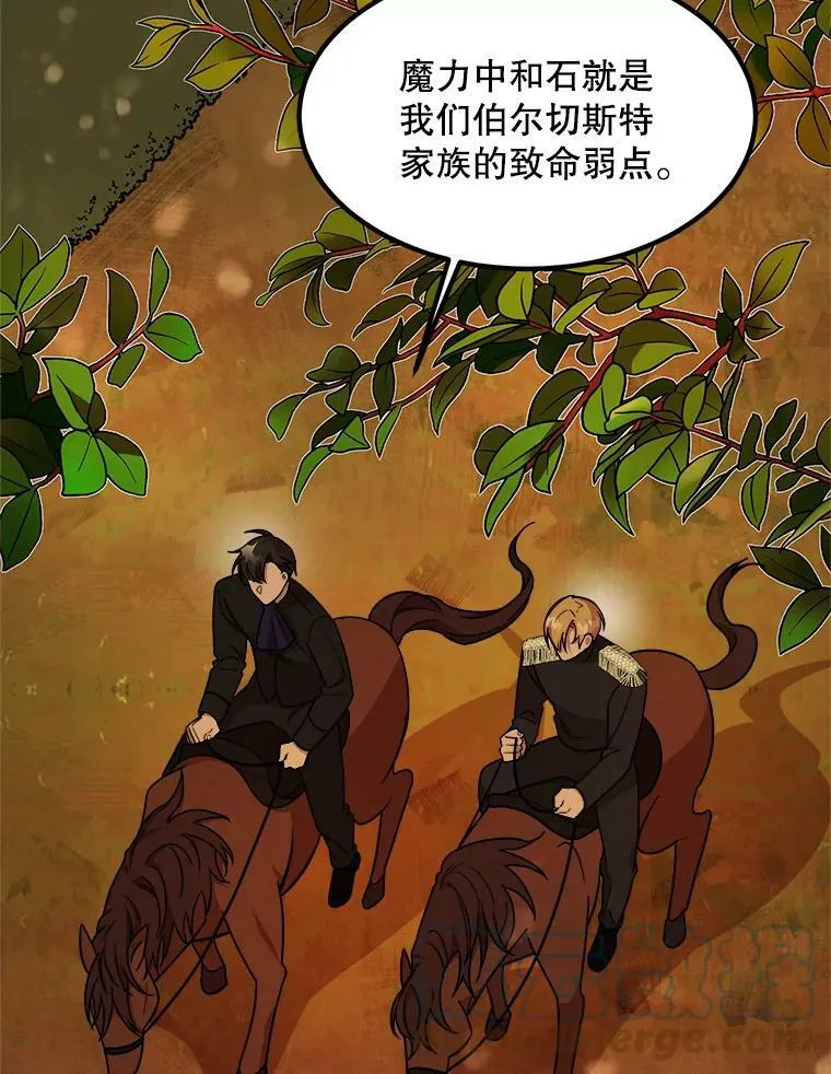 10.爵位继承仪式 第37页