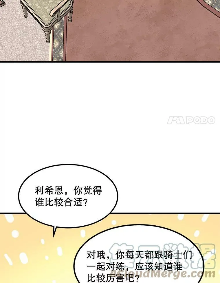 17.专属骑士 第45页