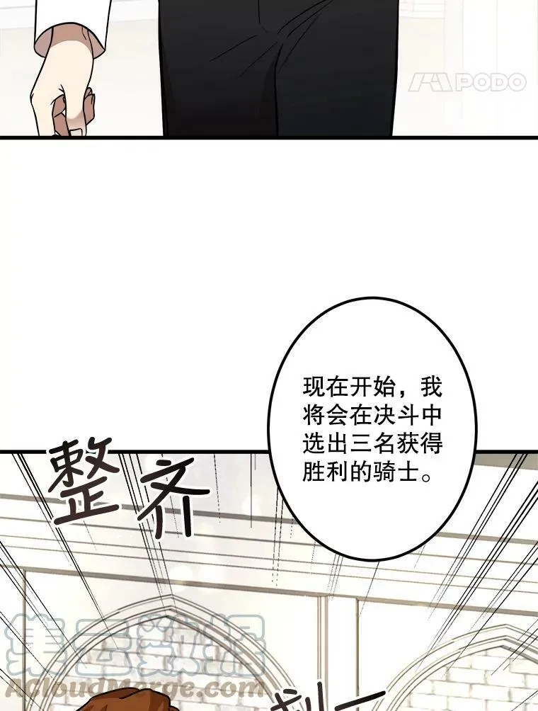 17.专属骑士 第65页