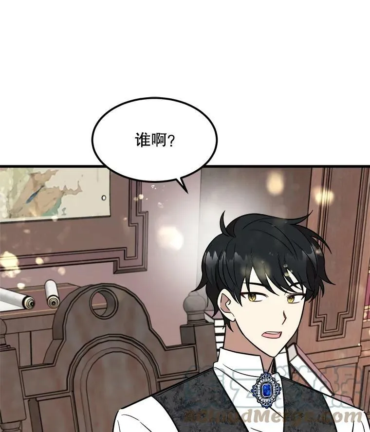 19.魔法师家族 第101页