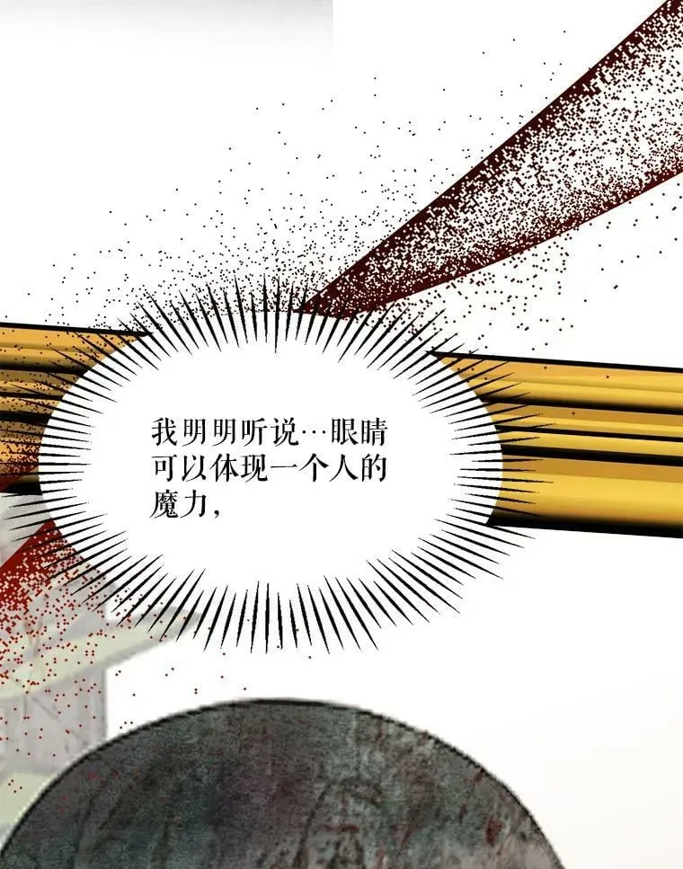 56.利希恩少爷的瞳色 第56页