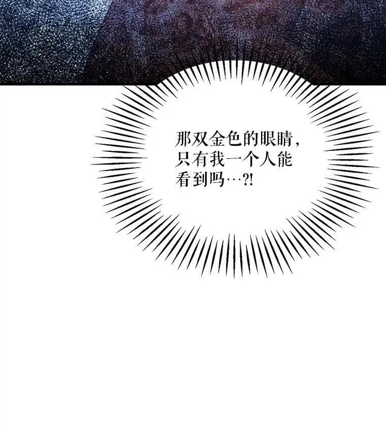 56.利希恩少爷的瞳色 第72页