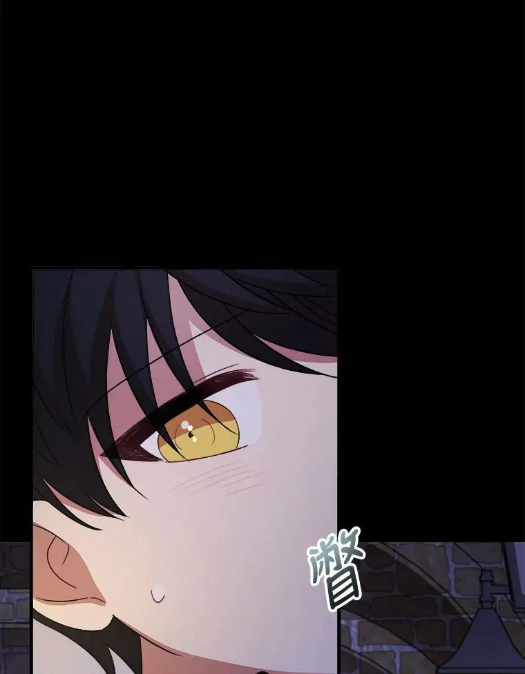 59.利希恩的回忆 第135页