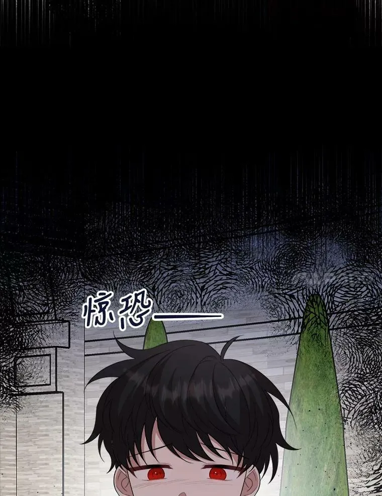 62.义务 第82页
