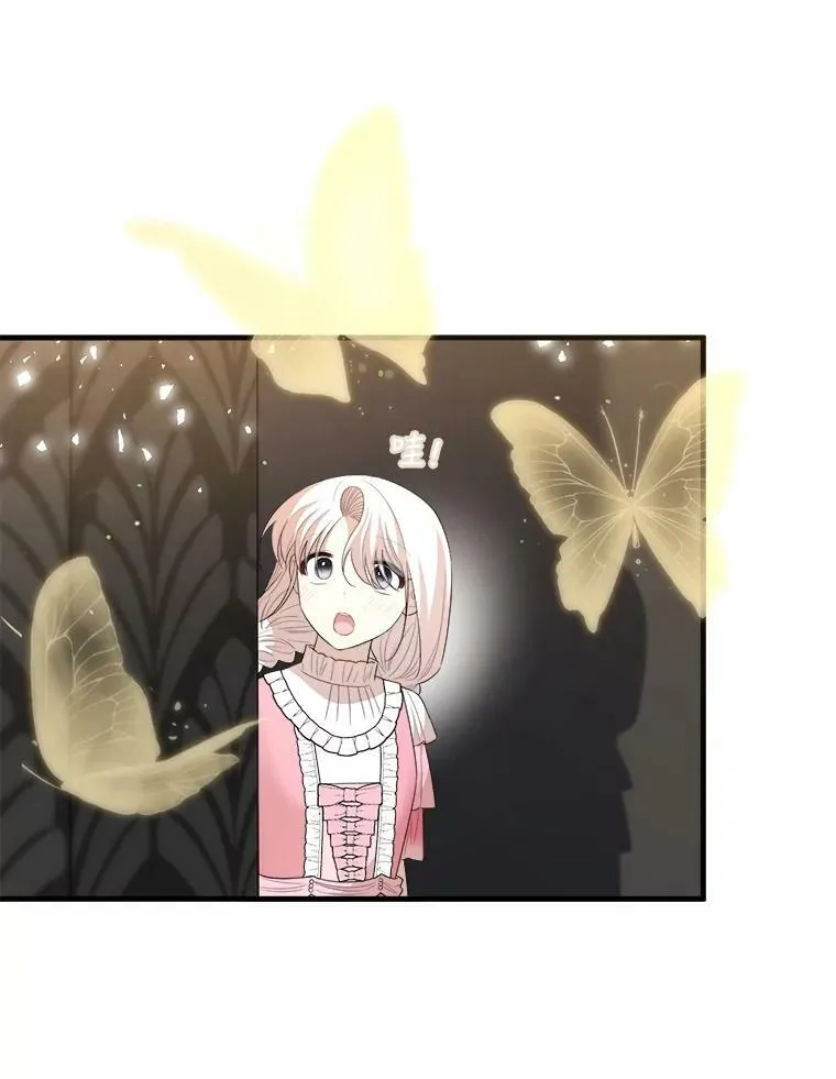 65.烟花 第116页
