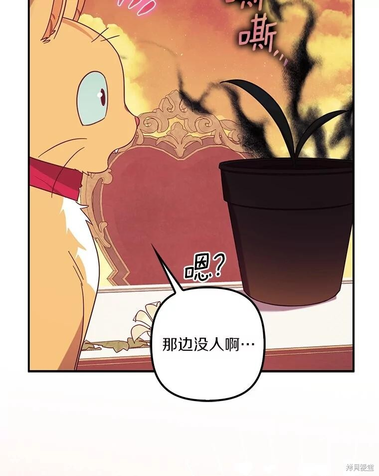 第61话 第49页
