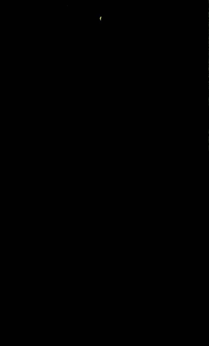 第74话 第53页