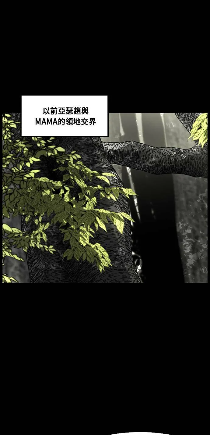 第167话 第13页