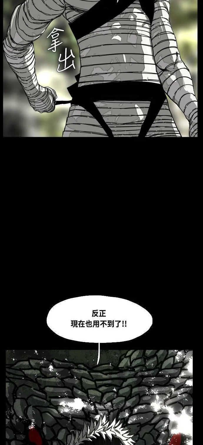 第176话 第66页