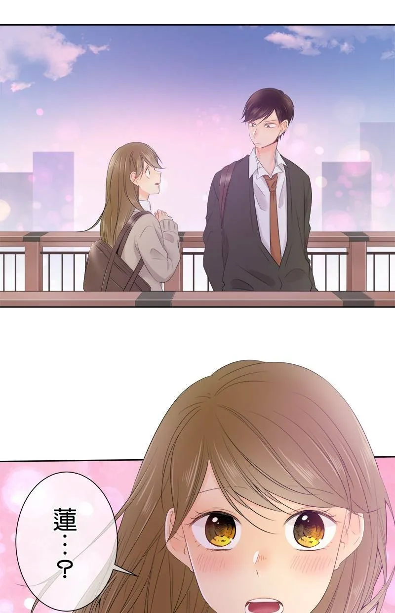 [第114话] 要去哪里 第41页