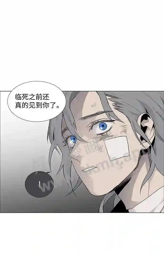 第50话 第37页