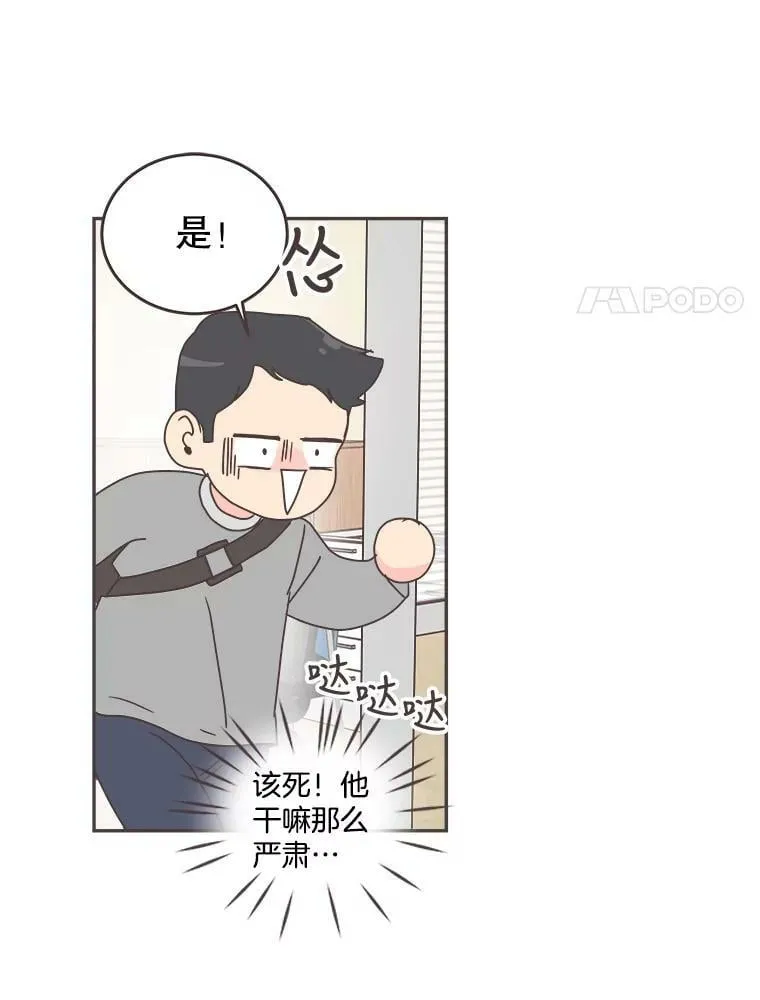 59.招新 第62页