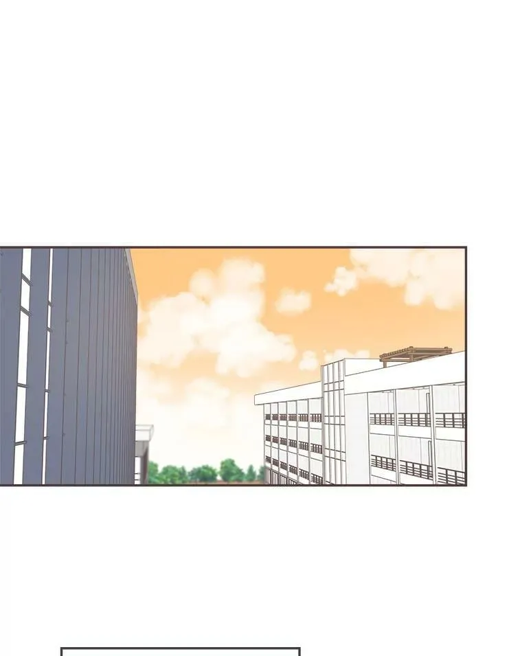59.招新 第87页