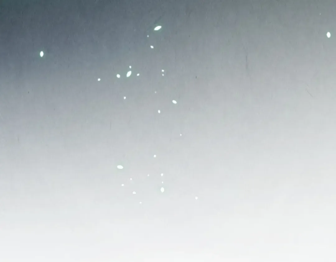 第323话 章鱼人和人妖 第38页