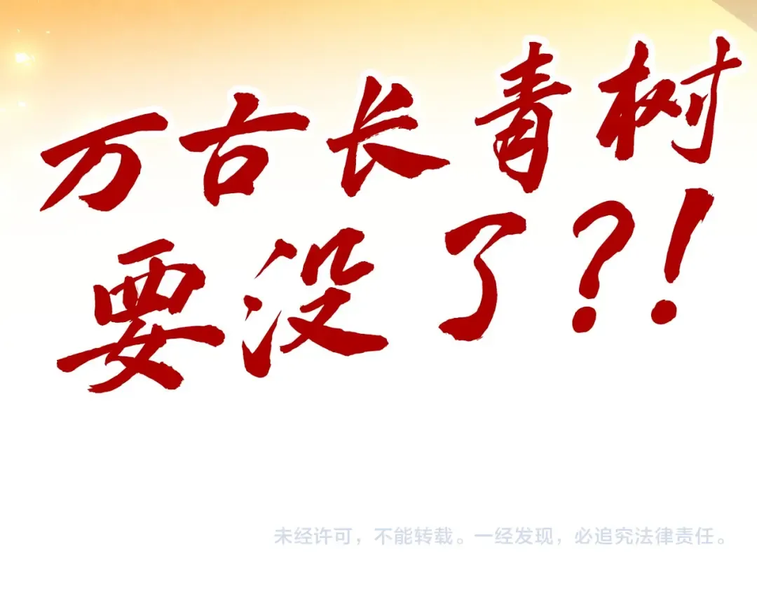 第354话 魂奴进阶 第164页