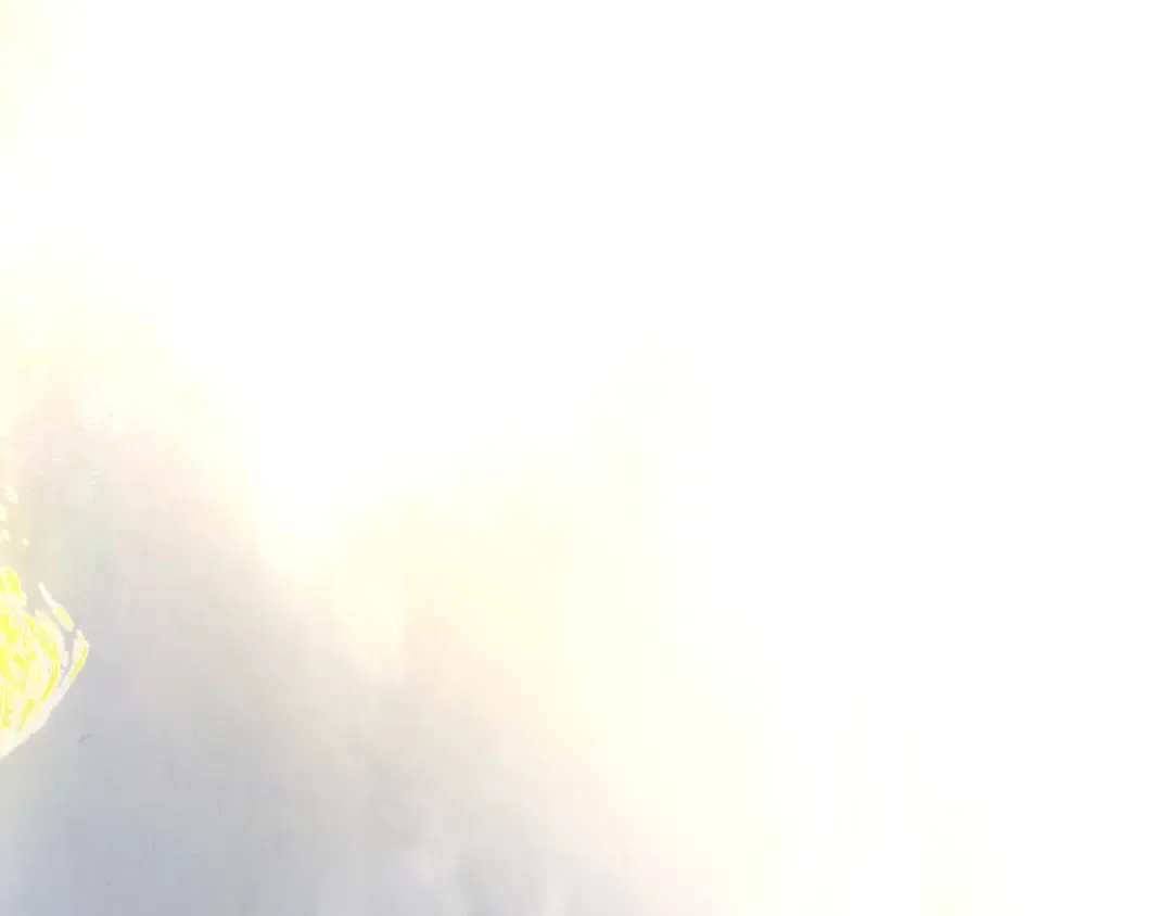 第401话 雷系功法 第73页