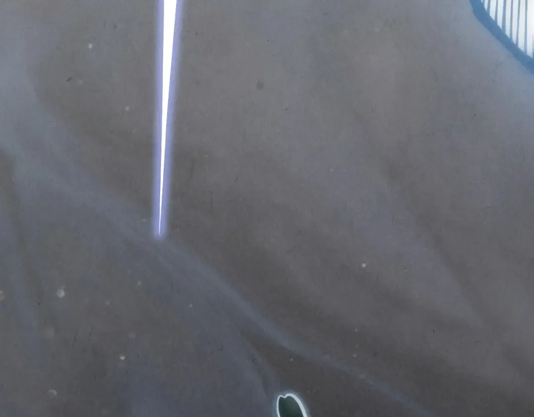 第411话 养蛊成功！！ 第29页