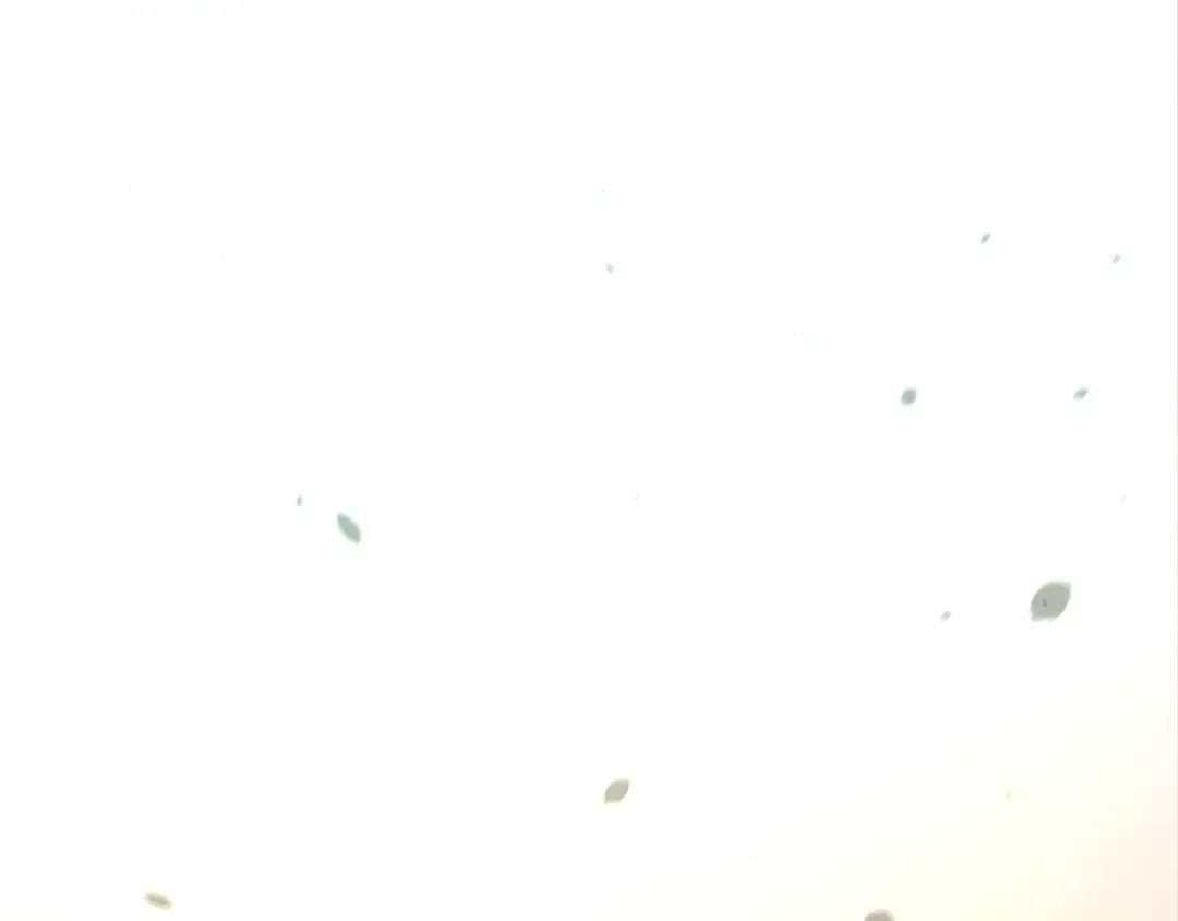 第438话 宋月扬城（二） 第54页