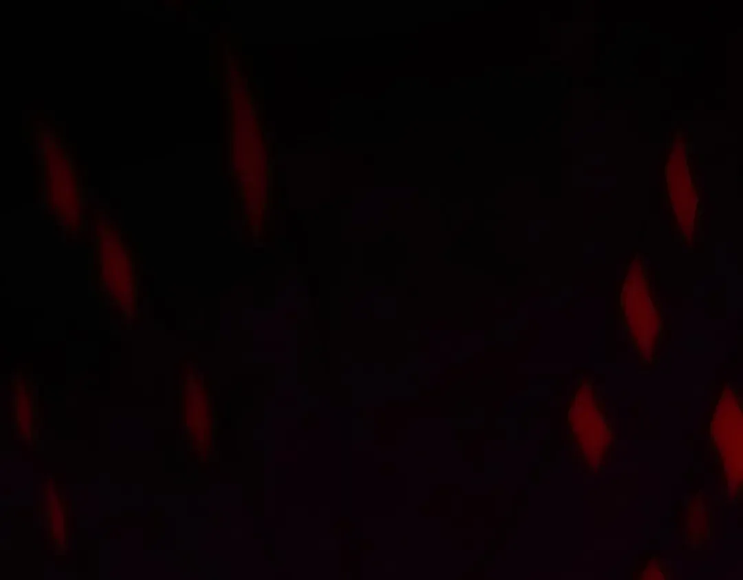 第451话 红颜薄命 第79页