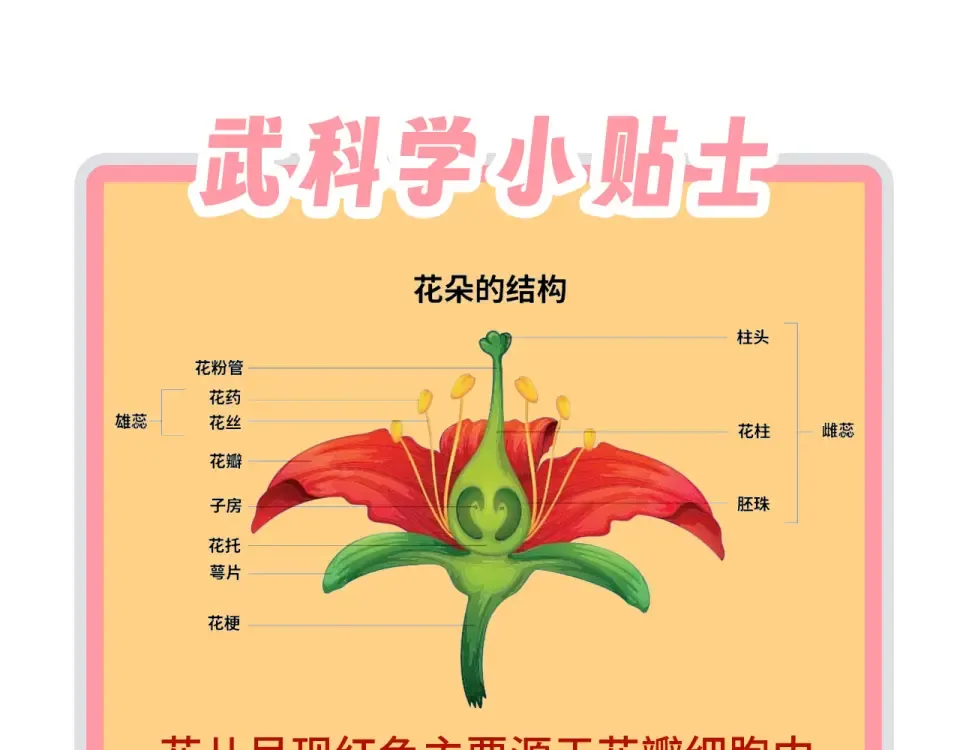 第493话 玄器 第175页