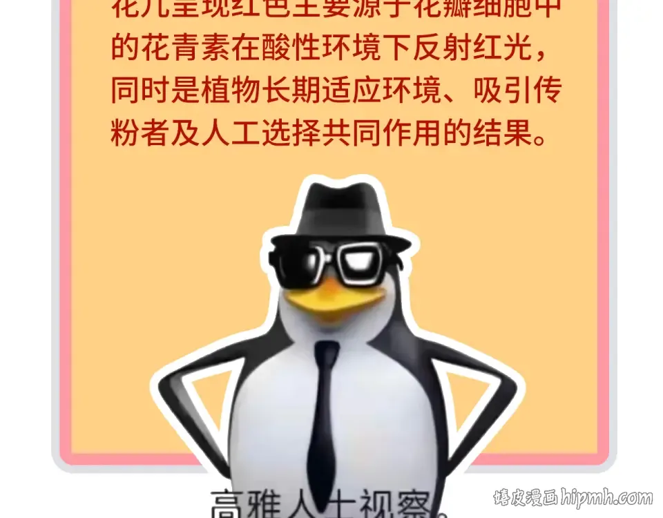 第493话 玄器 第176页