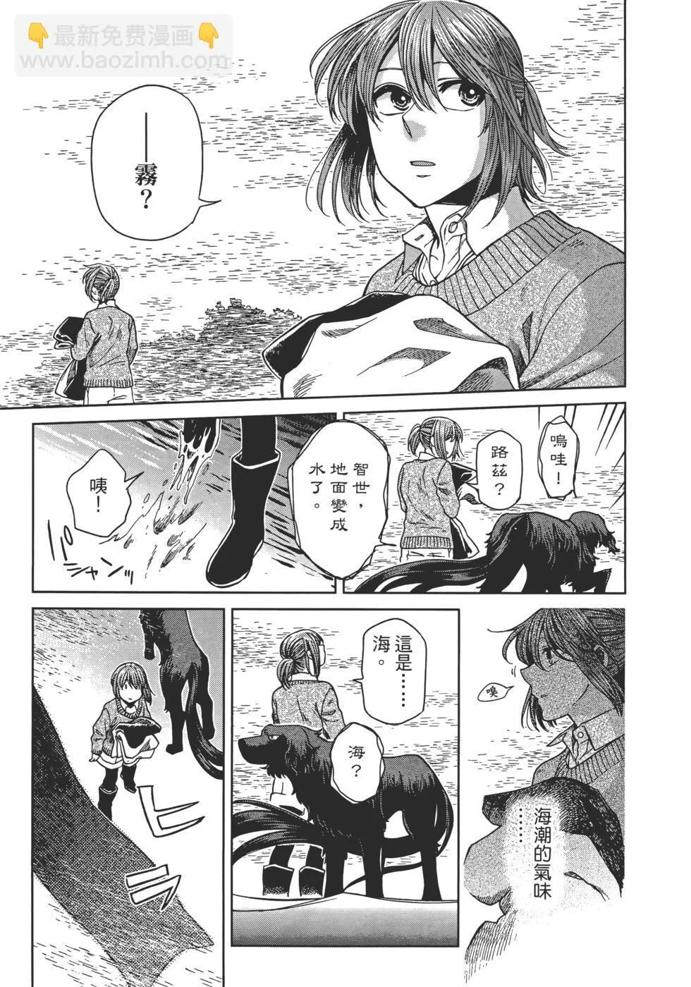 第11卷 第39页