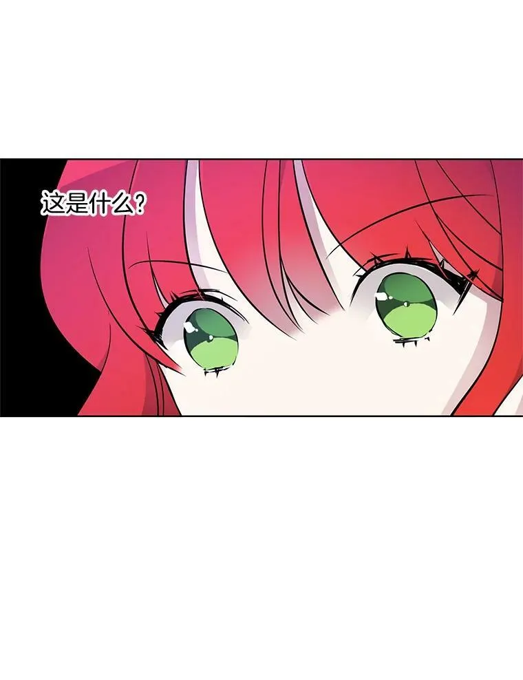 15.夫人的书 第102页