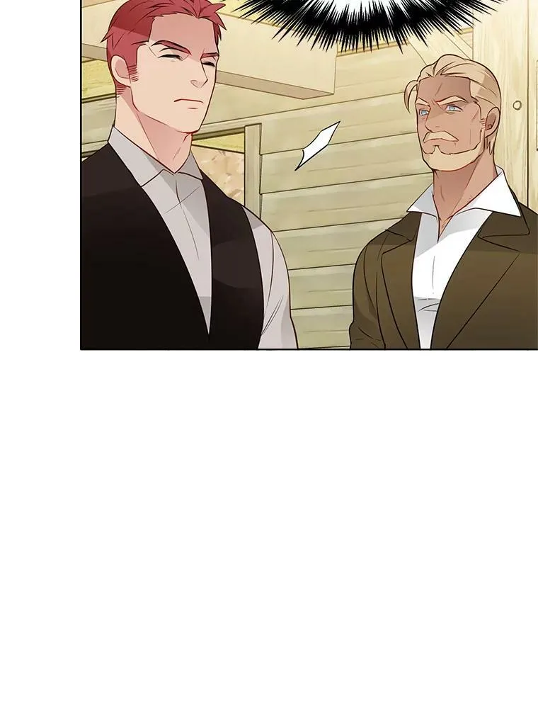 23.书不见了？ 第23页
